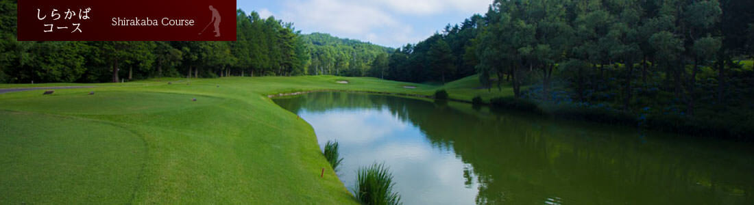 しらかばコース写真