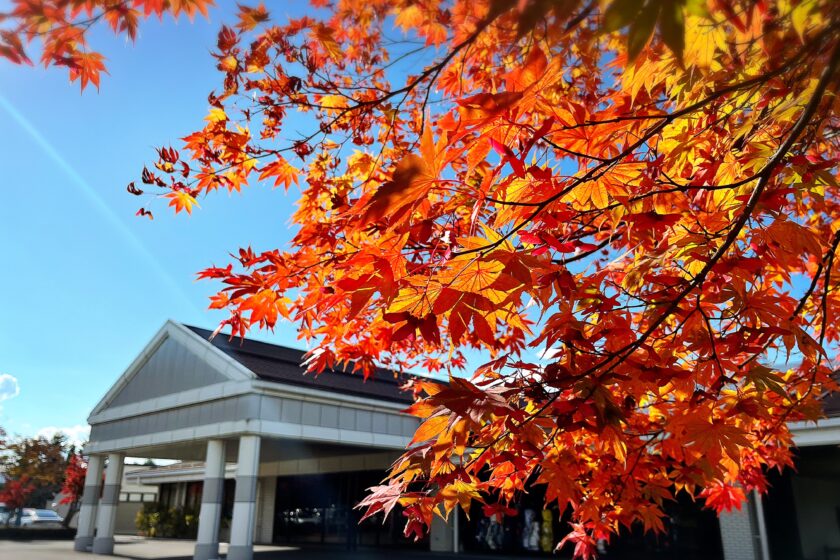 塩尻市ふるさと納税返礼品